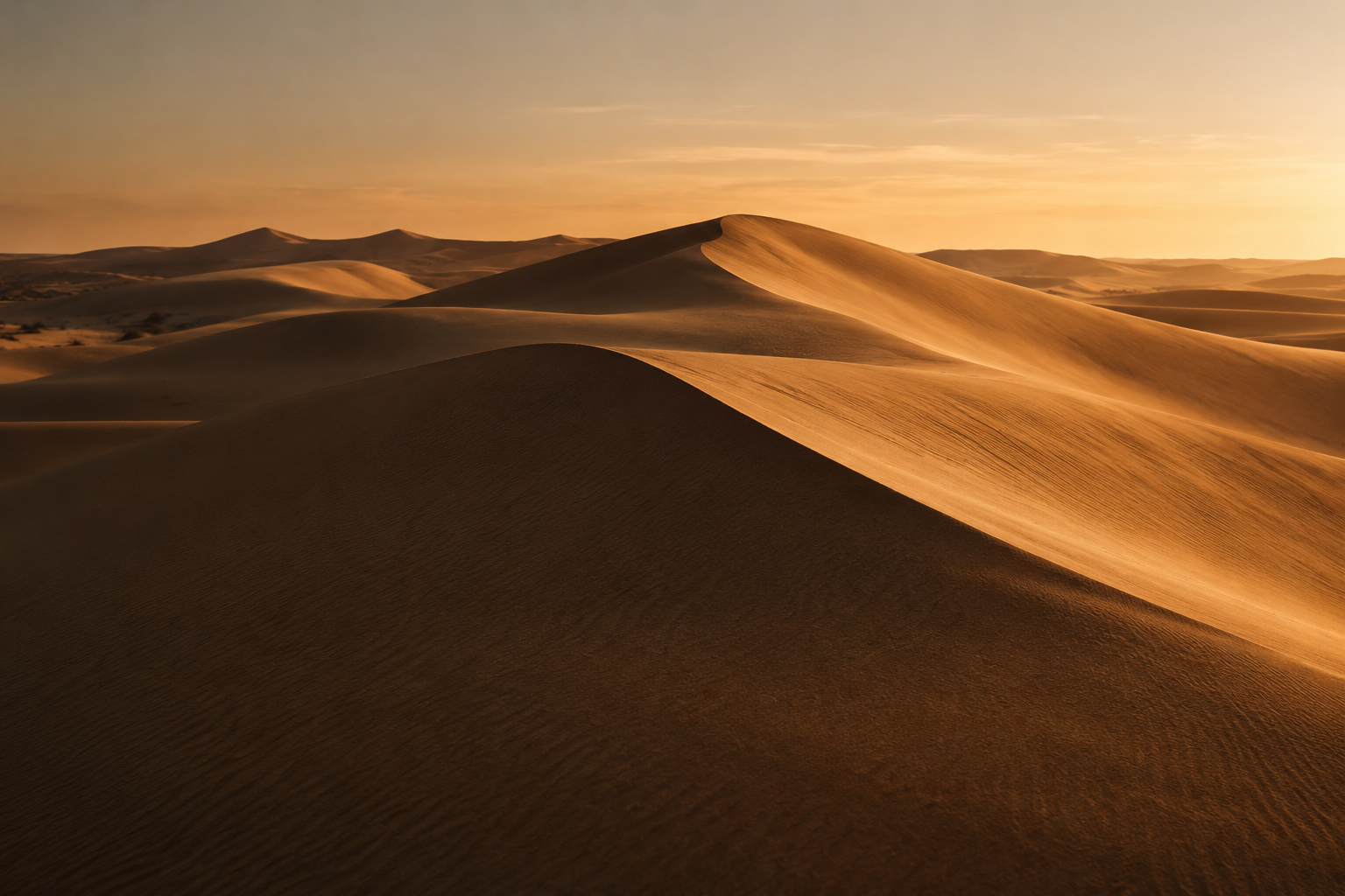 Golden desert dunes, with warm sunlight tracing the ridges and deep shadows in the sand